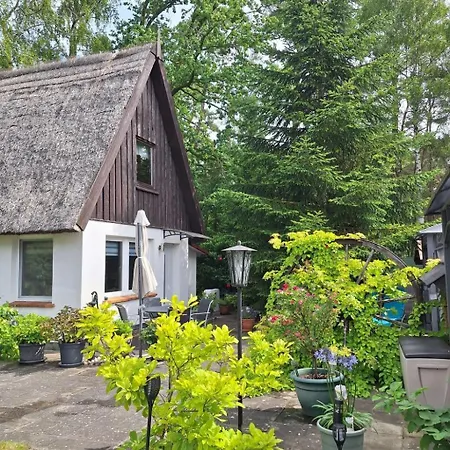 Reetgedecktes Haus By Interhome